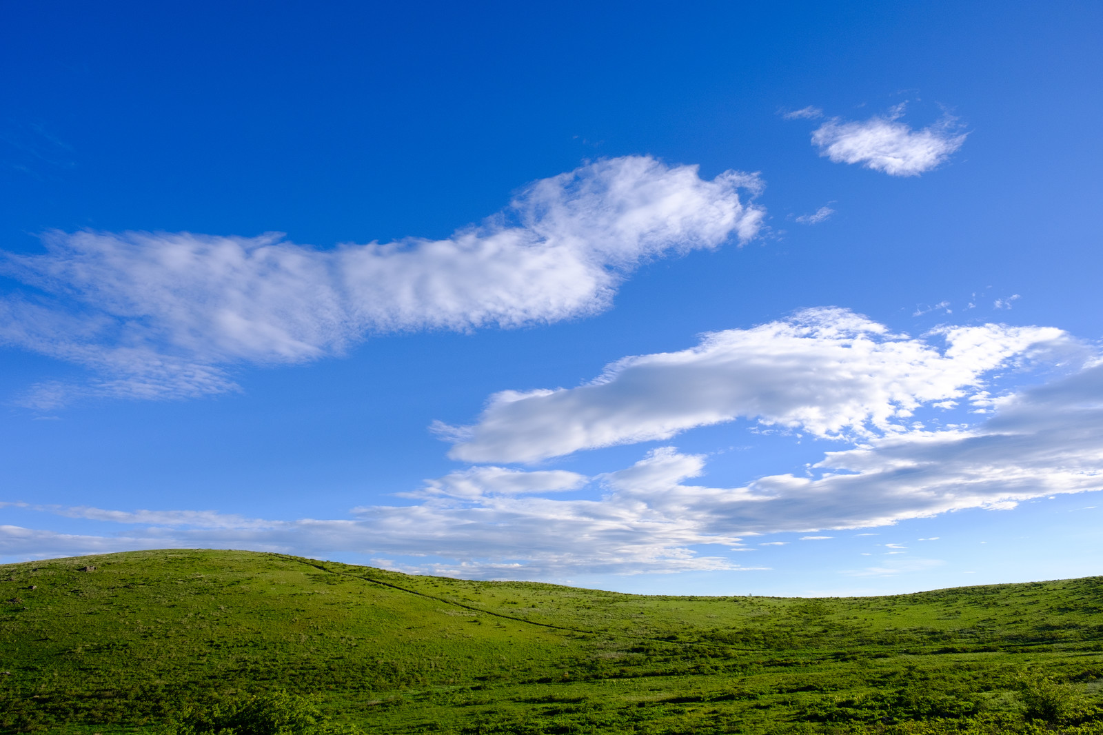 夏の風景